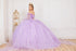 Floral Appliqués Off Shoulder Ball Gown for Women, Sizes 4/XS-16/3X